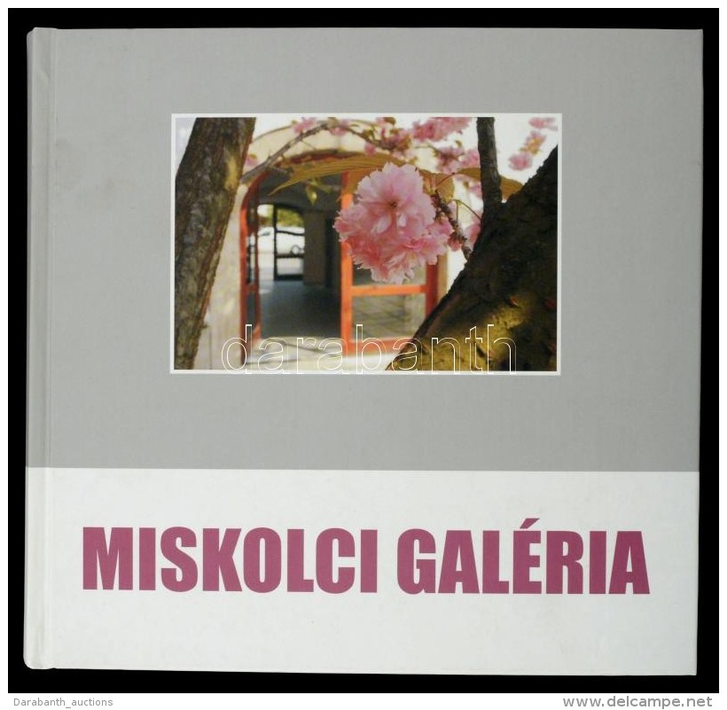 Miskolci Galéria. Szerk.: Dobrik István. Miskolc, 2011, Miskolci Galéria. Kartonált... - Ohne Zuordnung