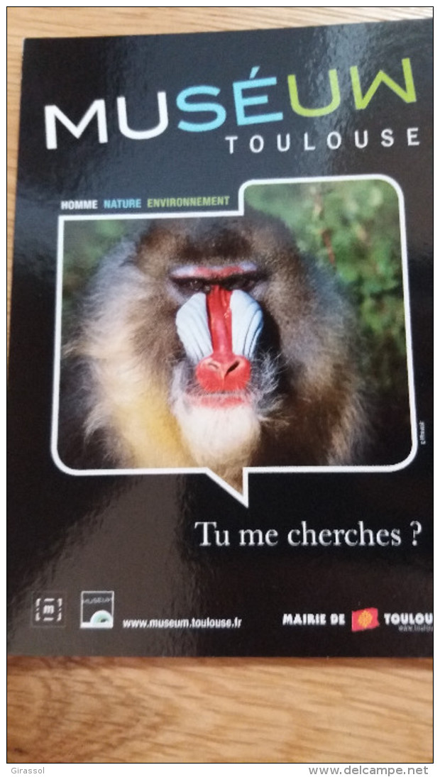 CPM MUSEUM MUSEE TOULOUSE SINGE TU ME CHERCHES ? - Singes