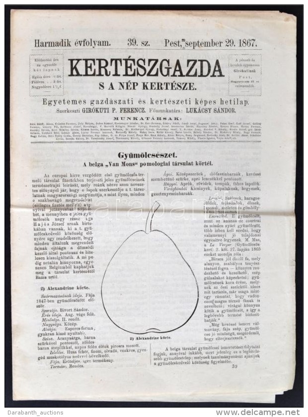 1867 Kertészgazda S A Nép Kertésze, Egyetemes Gazdászati és Kertészeti... - Zonder Classificatie