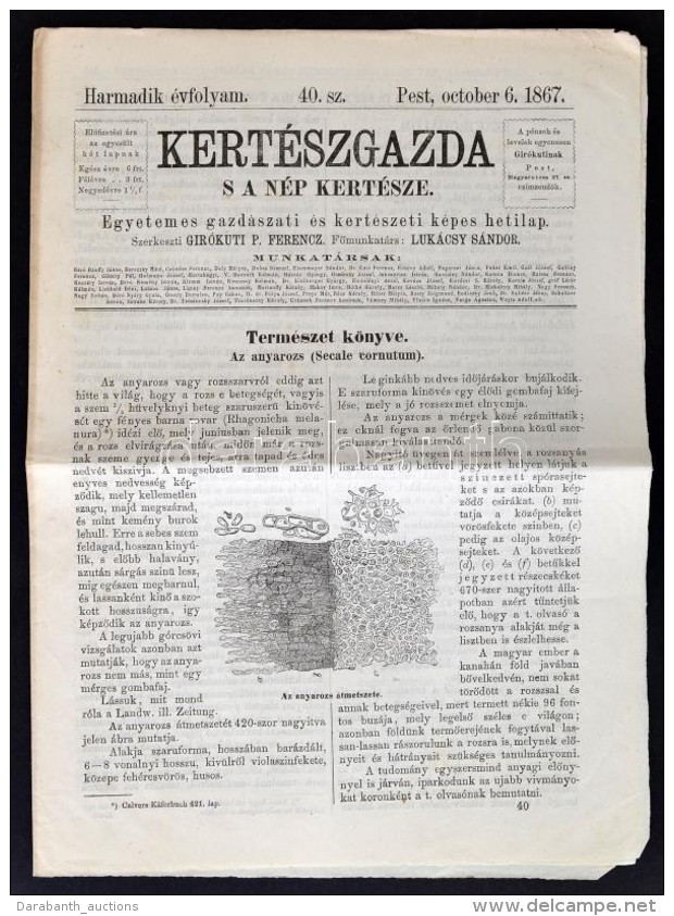 1867 Kertészgazda S A Nép Kertésze, Egyetemes Gazdászati és Kertészeti... - Ohne Zuordnung