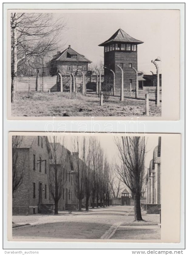 OÅ›wiÄ™cim(Auschwitz), Lengyelország, Koncentrációs Tábor, 3 Db Modern Fotólap,... - Autres & Non Classés
