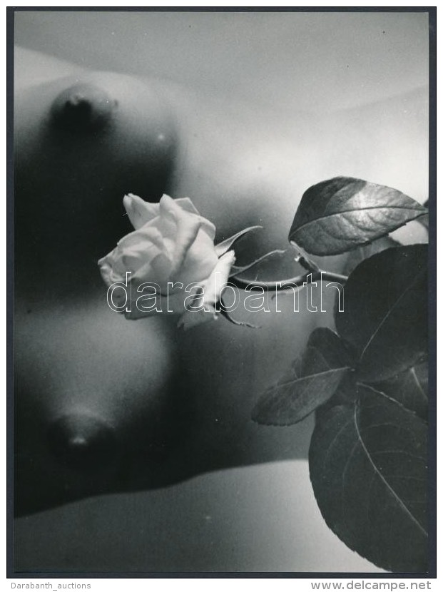 Cca 1979 Bimbózó Szépségek, Vintage Fotó, 18x24 Cm / Erotic Photo, 18x24 Cm - Otros & Sin Clasificación