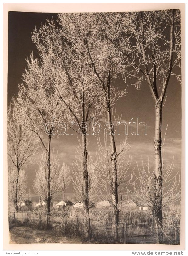 Cca 1959 Medgyesi László: Téli Napsütésben, Feliratozott Vintage... - Autres & Non Classés