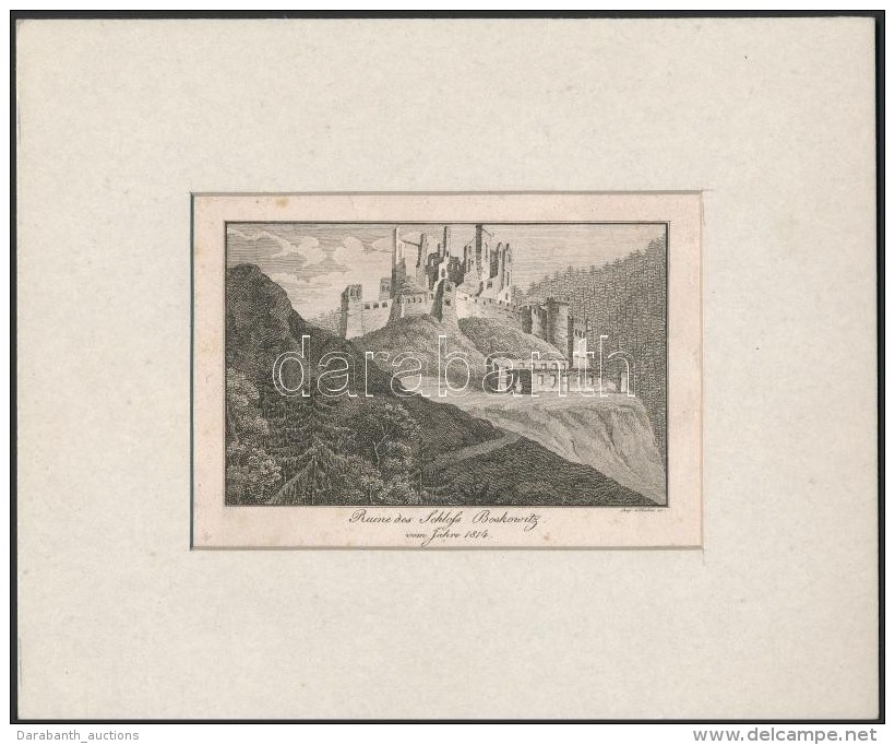 Cca 1860 Leopold Müller(1834-1882): Ruine Des Schloss Boskovitz Vom Jahre 1814, Metszet, Jelzett A Metszeten,... - Stiche & Gravuren