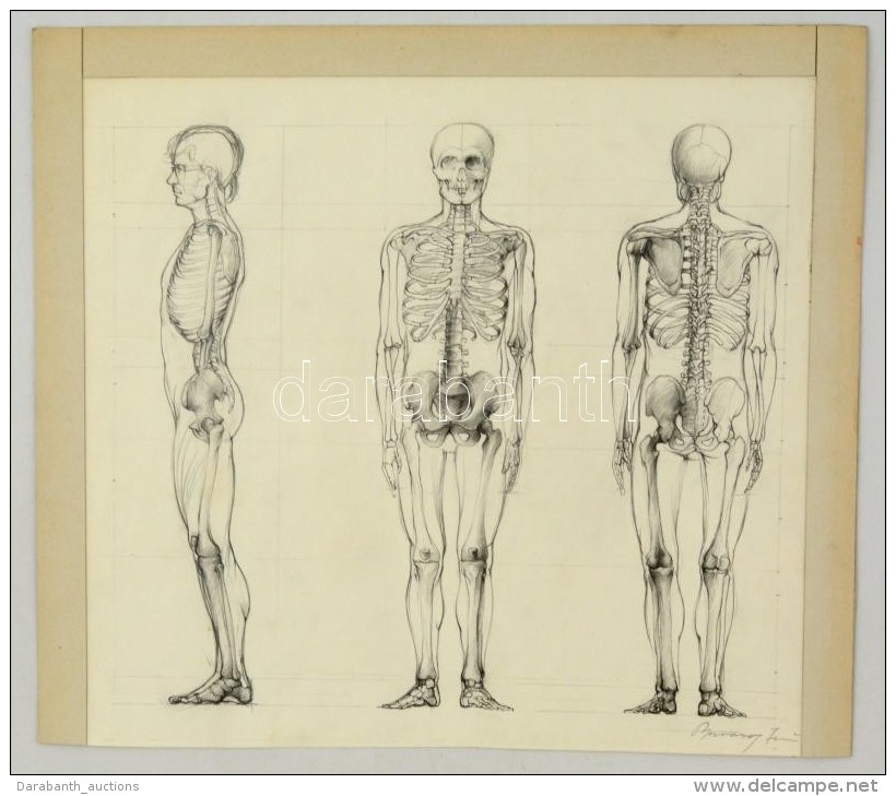Barcsay Jelzéssel: Anatómia. Ceruza, Papír, 42&times;44 Cm - Autres & Non Classés