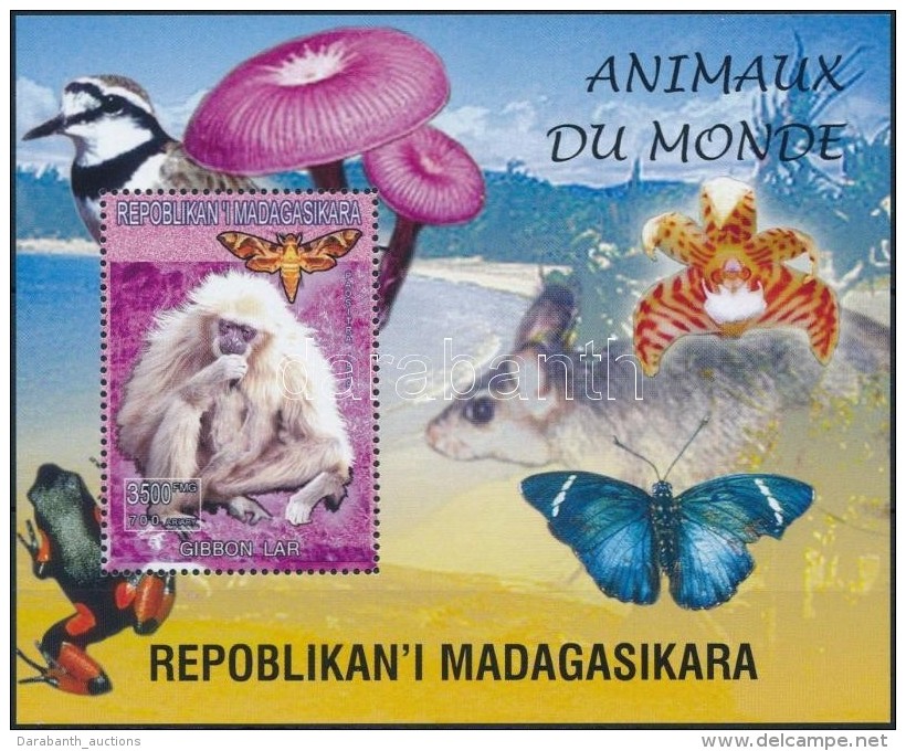 ** Madagaszkár 1999 Majom, Lepke Blokk - Andere & Zonder Classificatie