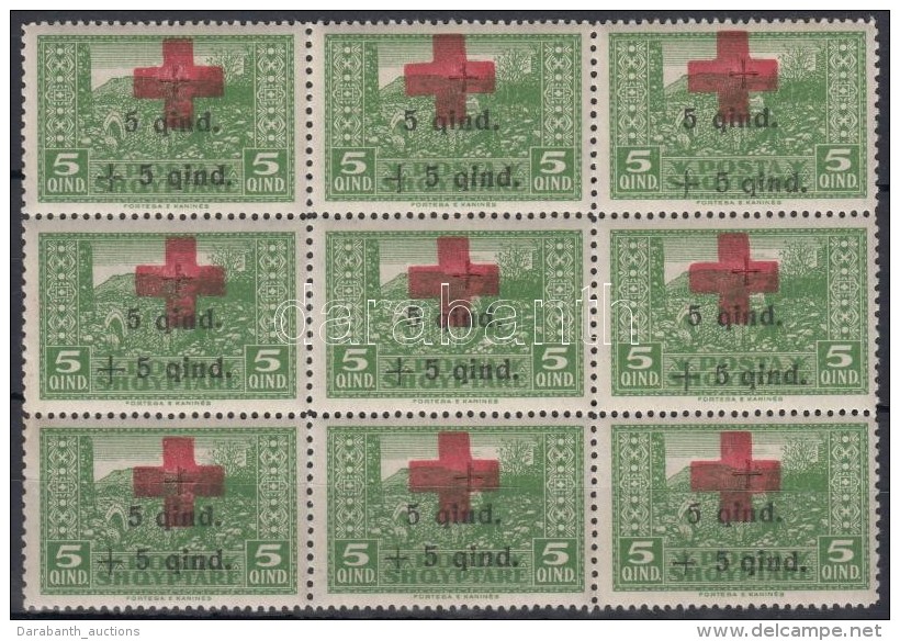 ** 1924 Vöröskereszt (II) 5Q 9-es Tömb Mi 100 - Other & Unclassified