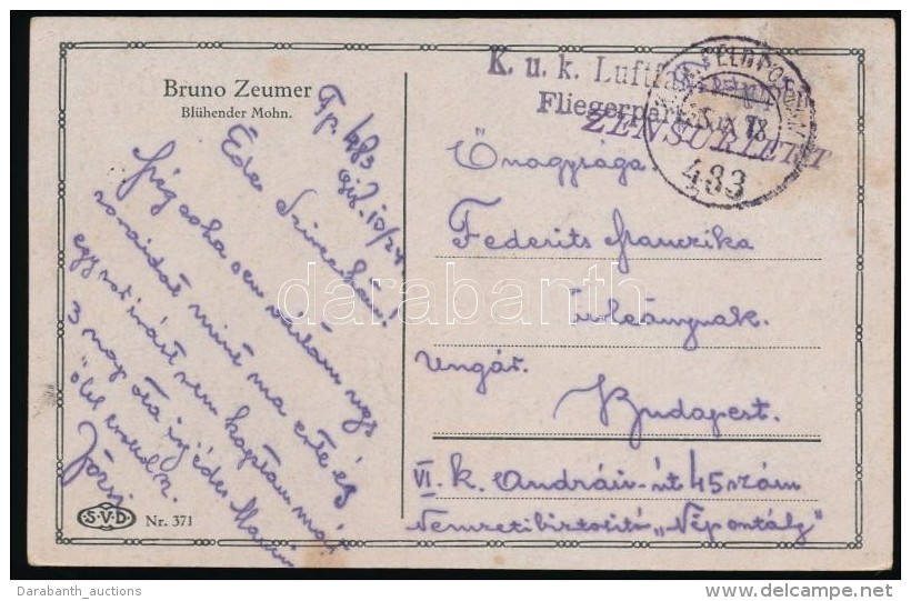 1918 Képeslap / Postcard 'K.u.K. Fliegerpark Nr 7'  + 'FP 483' - Autres & Non Classés