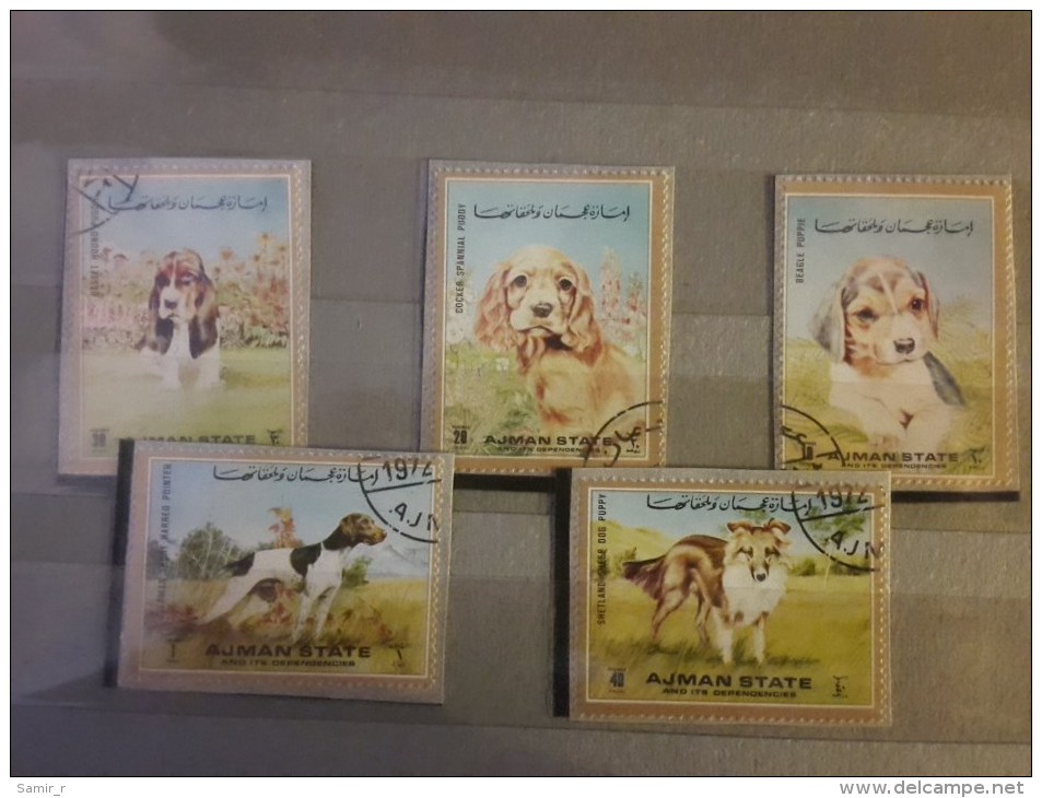 1972 Ajman Dogs  (73) - Cani