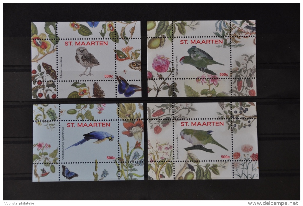 SINT MAARTEN 2016 SERIE (2e EDITION) VOGELS BIRDS OISEAUX MNH NEUF ** - Curaçao, Antilles Neérlandaises, Aruba