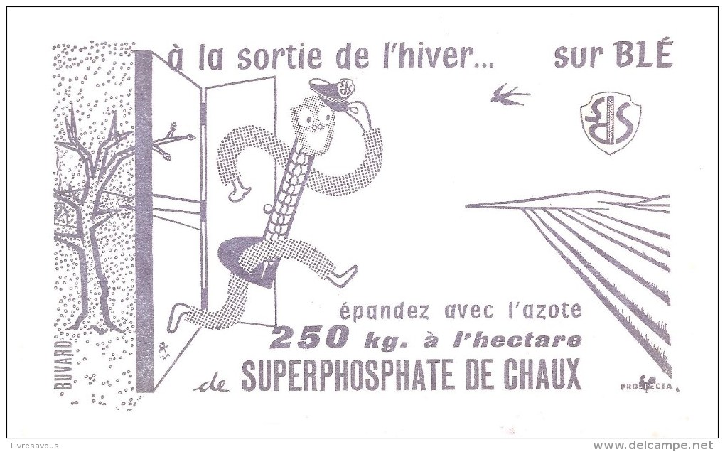 Buvard SUPERPHOSPHATE DE CHAUX à La Sortie De L'hiver... Sue Blé - Agriculture