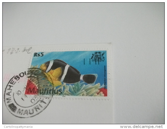 STORIA POSTALE FRANCOBOLLO COMMEMORATIVO PESCE FISH MAURITIUS LLE AUX CERFS  VELE  SPIAGGIA - Mauritius