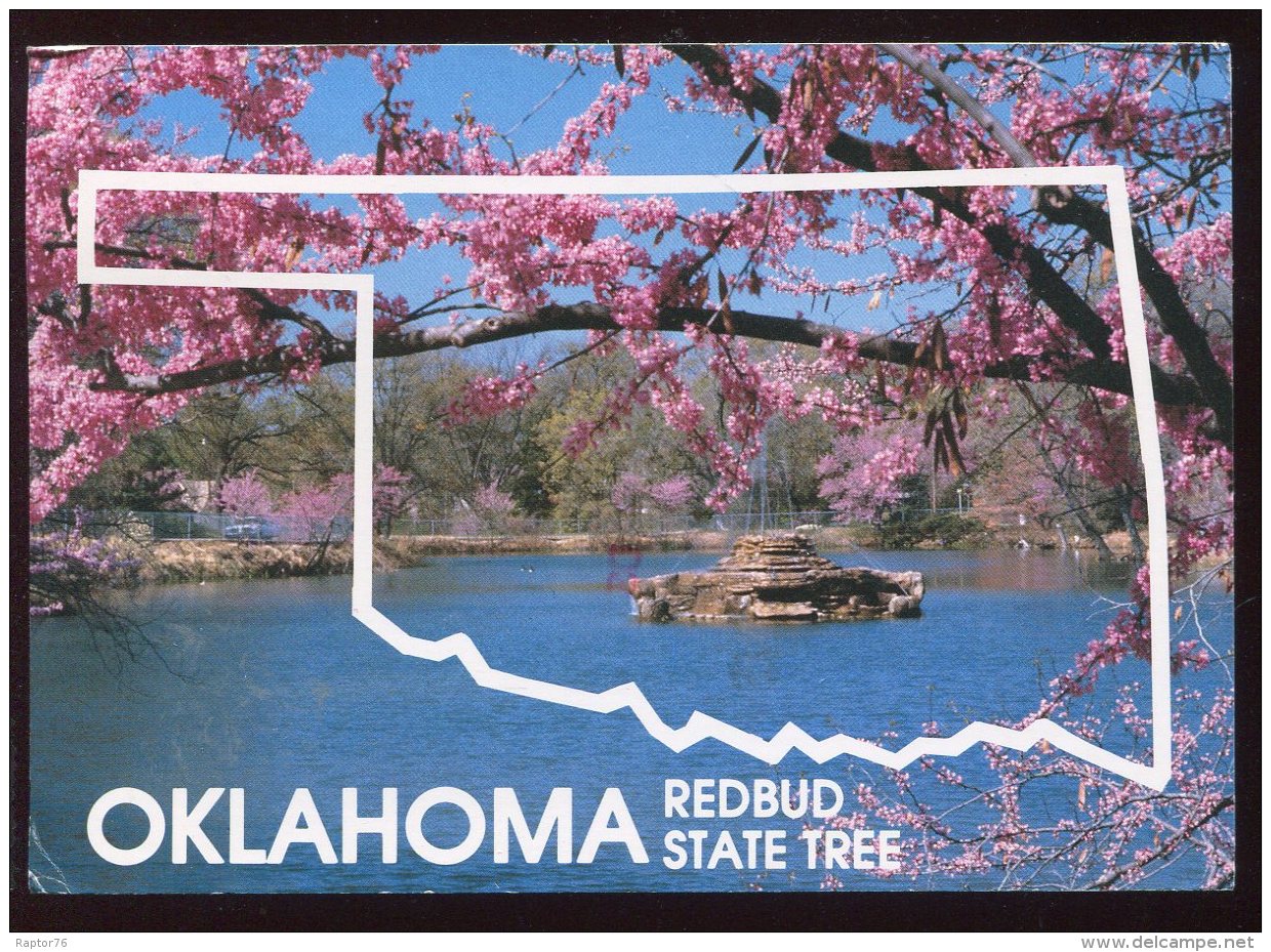 CPM Etats Unis Oklahoma Redbud State Tree - Autres & Non Classés