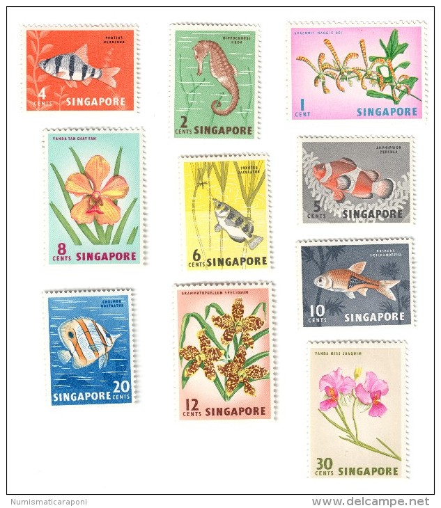 SINGAPORE FAUNA E FLORA MARINA 10 VALORI Cod.fra.382 - Singapore (1959-...)