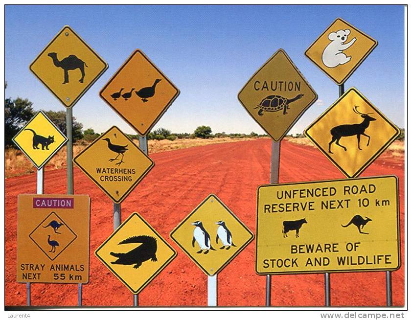 1 X Road Sign Postcard - Australian Road Sign With Animals - Panneau Routier Australian Animaux - Trucks, Vans &  Lorries