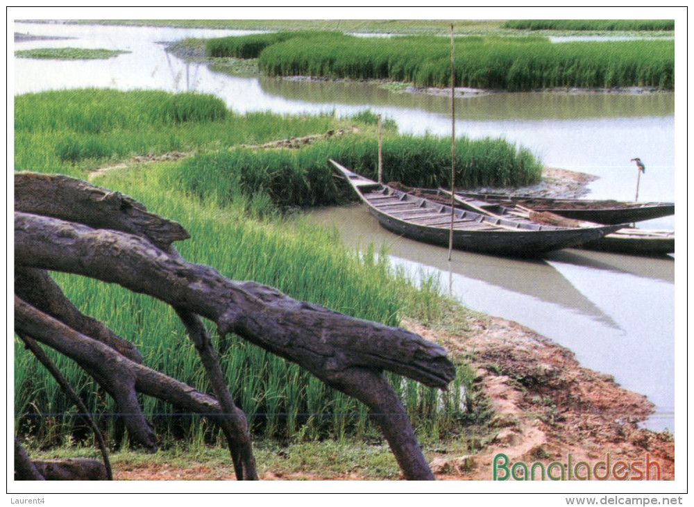 (818) Bangladesh River Scene (with Scout Stamp At Back Of Postcard) - Bangladesh