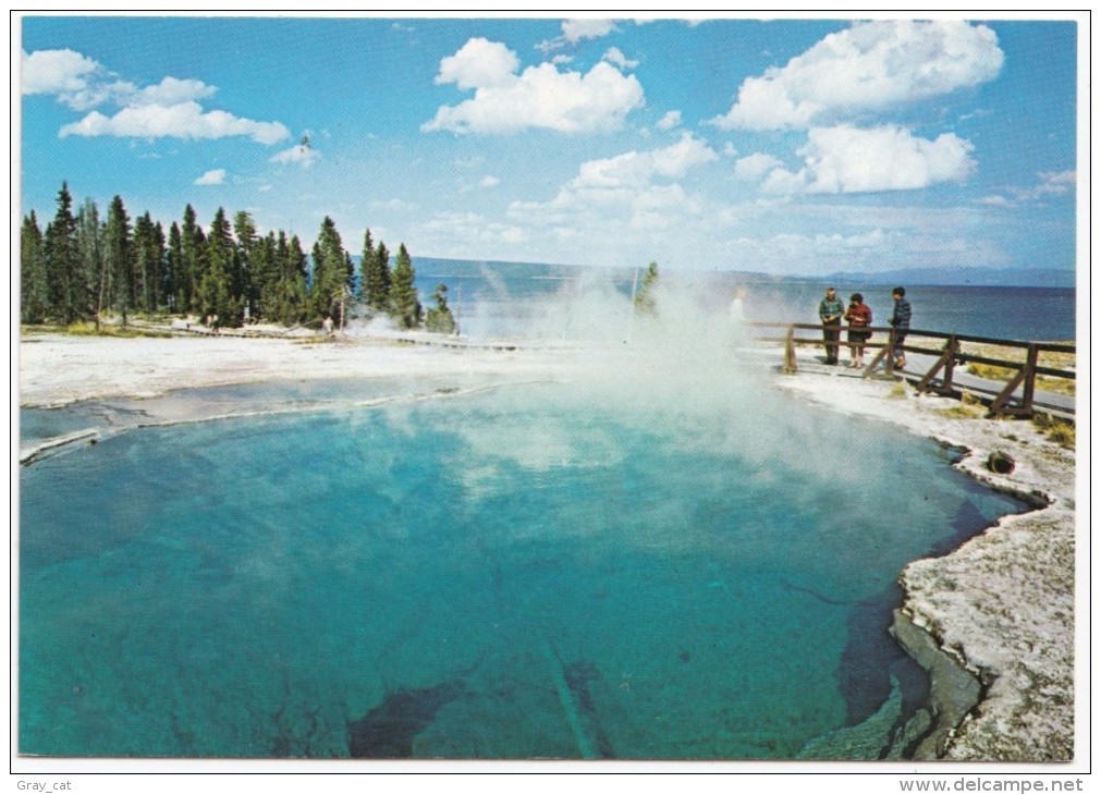 Abyss Pool, Yellowstone National Park, Unused Postcard [18895] - Yellowstone