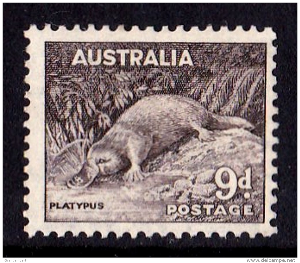 Australia 1938 9d Platypus P13.5 X 14 MLH  SG 173 - Mint Stamps