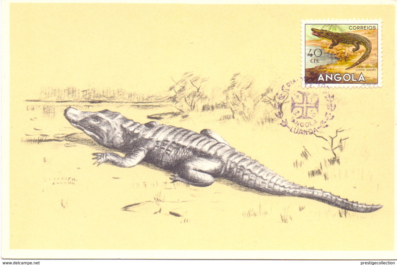 ANGOLA MAXIMUN POST CARD  LUANDA CROCODILE  1956  (SET160037) - Angola