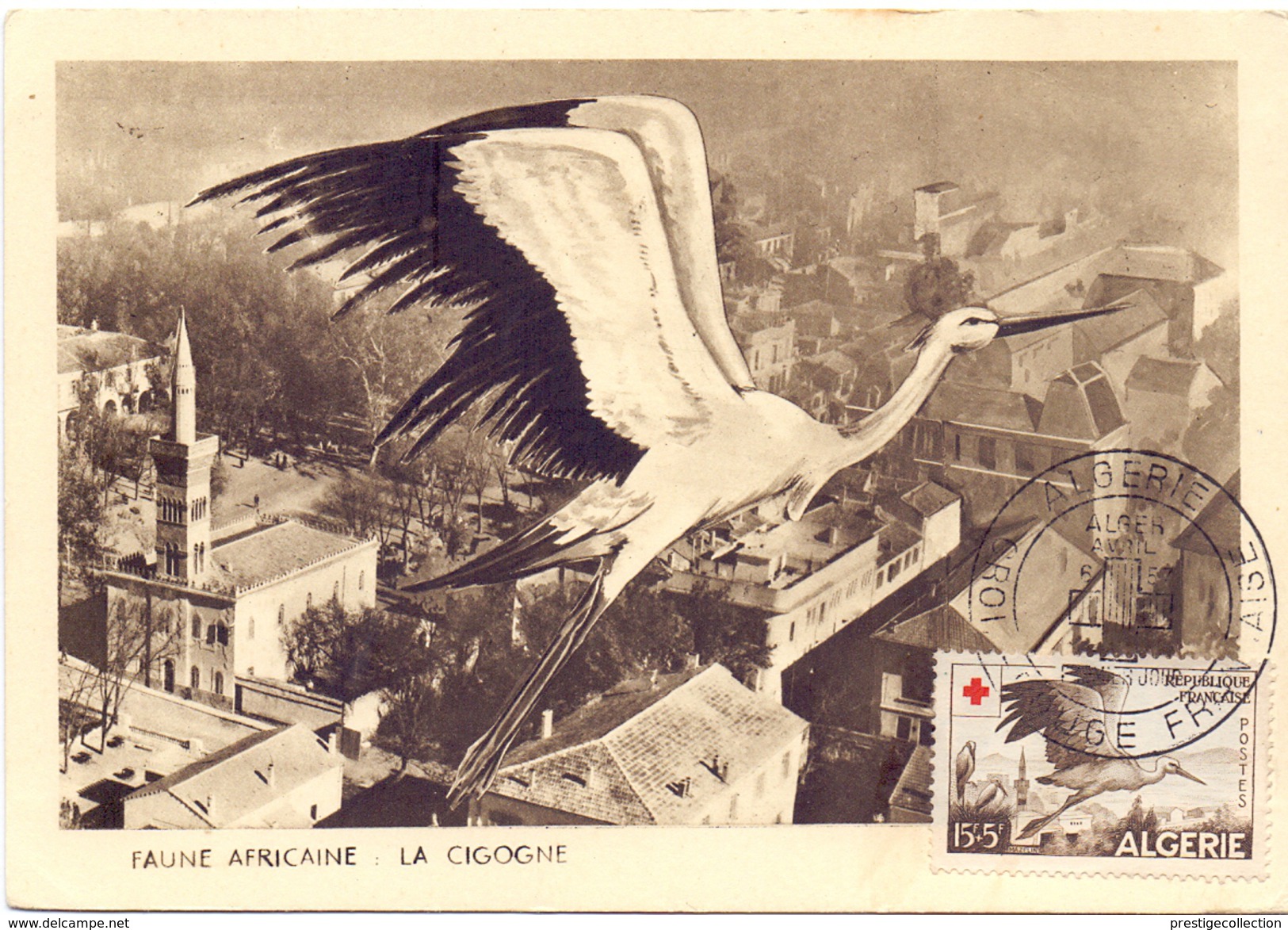 ALGERIE  1957 MAXIMUN POST CARD FAUNE AFRICAN THE STORK (SET160042) - Scene & Tipi