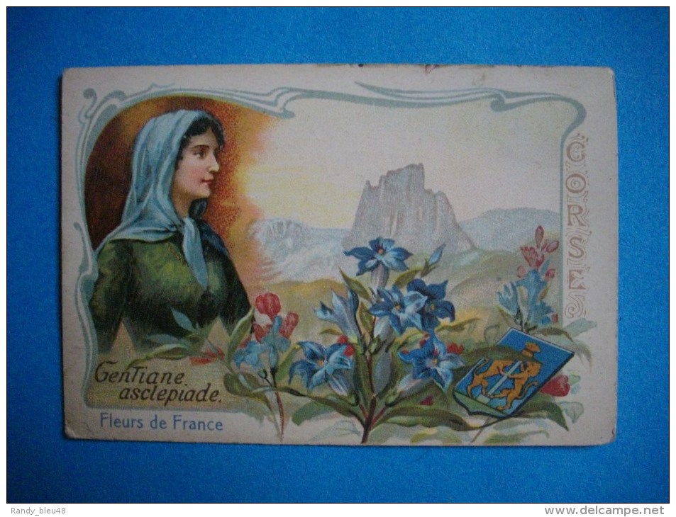 CHROMO  -  Fleurs De France  - CORSE   -  Gentiane Asclépiade   -  10,5 X 7 Cms  - - Autres & Non Classés