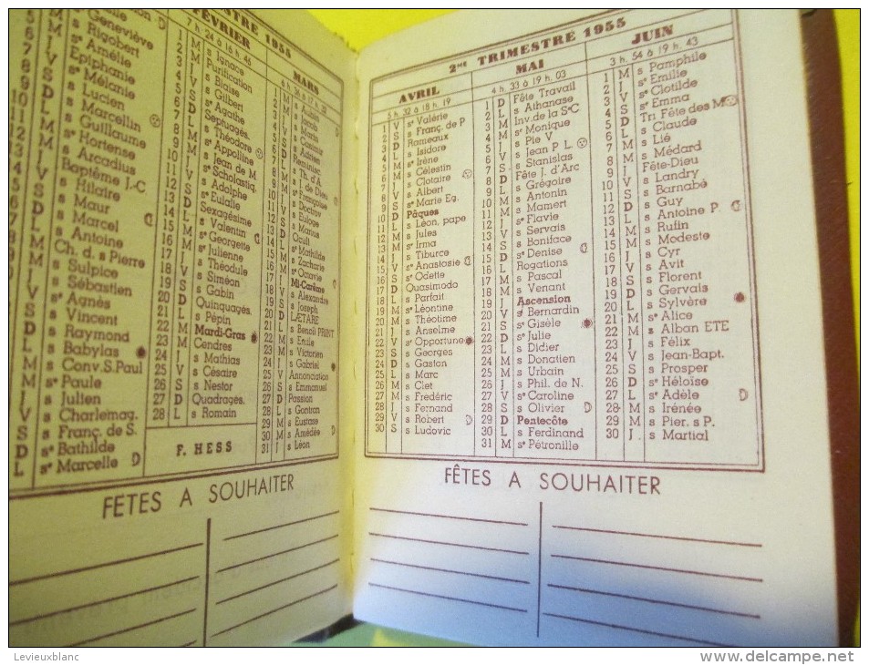 Petit Agenda-Calendrier De Poche/ "Agenda Moderne "/Incomplet/1955     CAL 327 - Autres & Non Classés