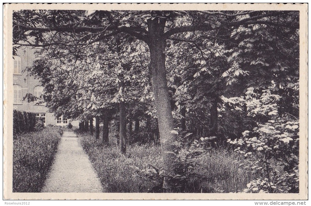 HERK-DE-STAD : Pensionnat Des Ursulines - Le Bosquet - Herk-de-Stad