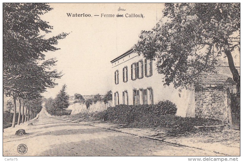 Belgique - Waterloo - Ferme Des Cailloux - Editeur Hermans Anvers - Waterloo