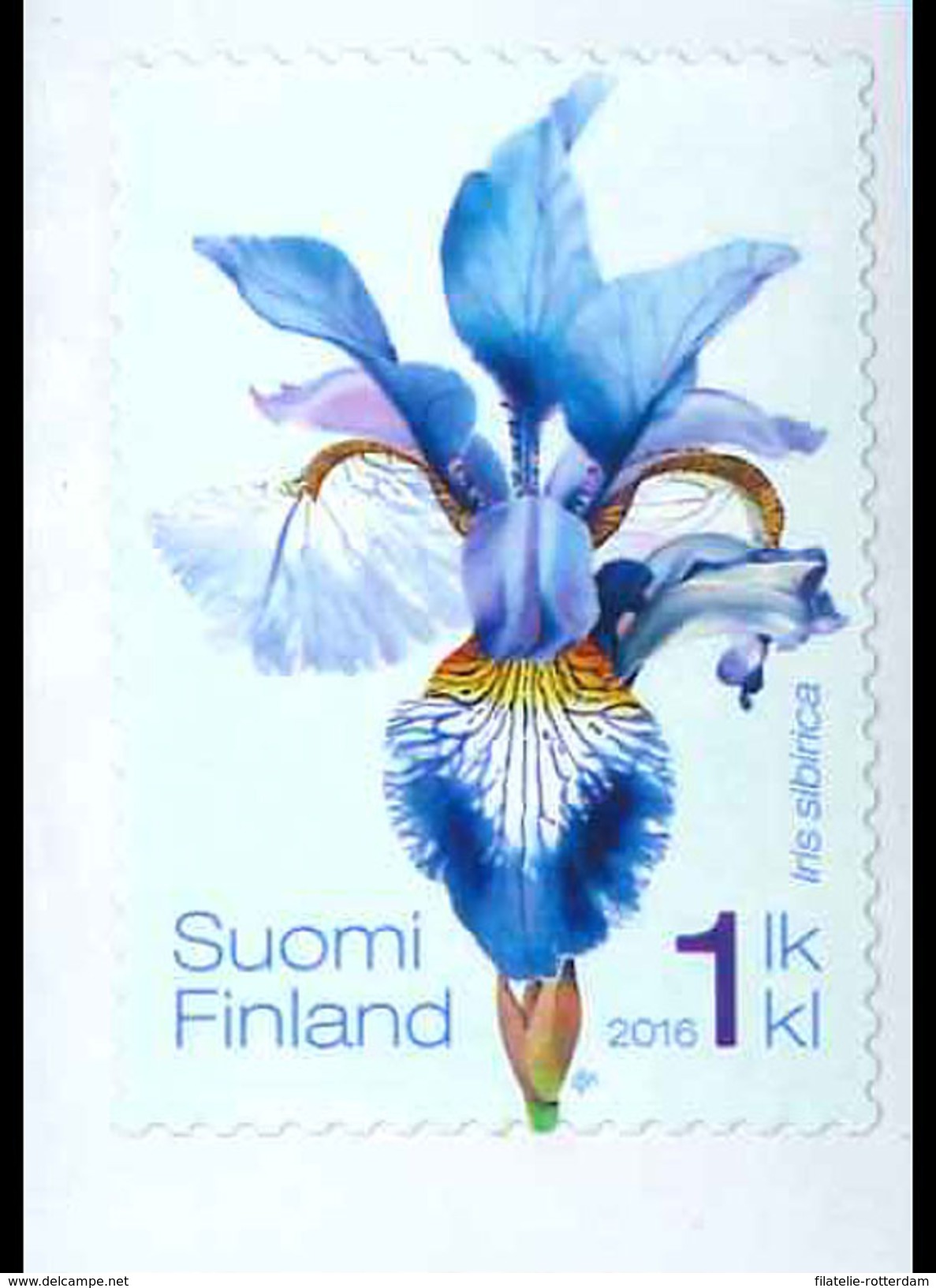 Finland - Postfris / MNH - Siberische Irissen 2016 - Unused Stamps