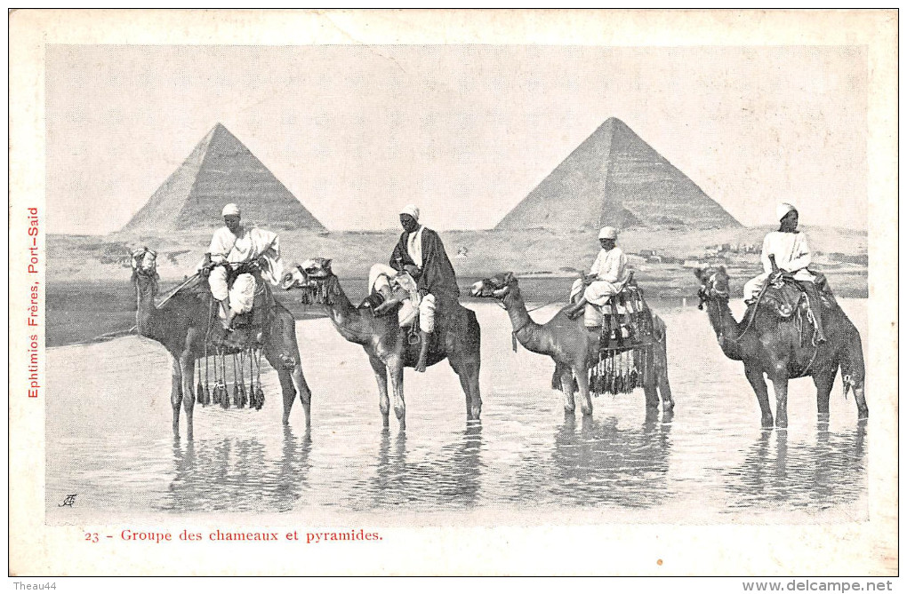 ¤¤  -  EGYPTE    -  LE CAIRE   -  Les Pyramides  -  Chameaux , Chameliers   -  ¤¤ - Cairo