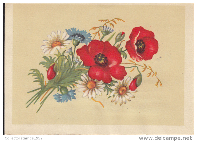 48740- POPPIES, DAISIES, WILD FLOWERS, TELEGRAMME, 1964, ROMANIA - Télégraphes