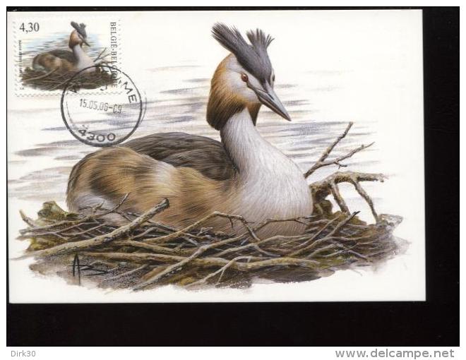 Belgie Buzin Vogels Birds 3538 Maximumkaart Fuut Waremme 15/5/2006 RR - 1985-.. Oiseaux (Buzin)