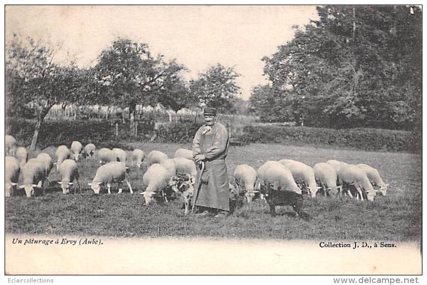 Ervy   10      Un Pâturage. Moutons - Andere & Zonder Classificatie