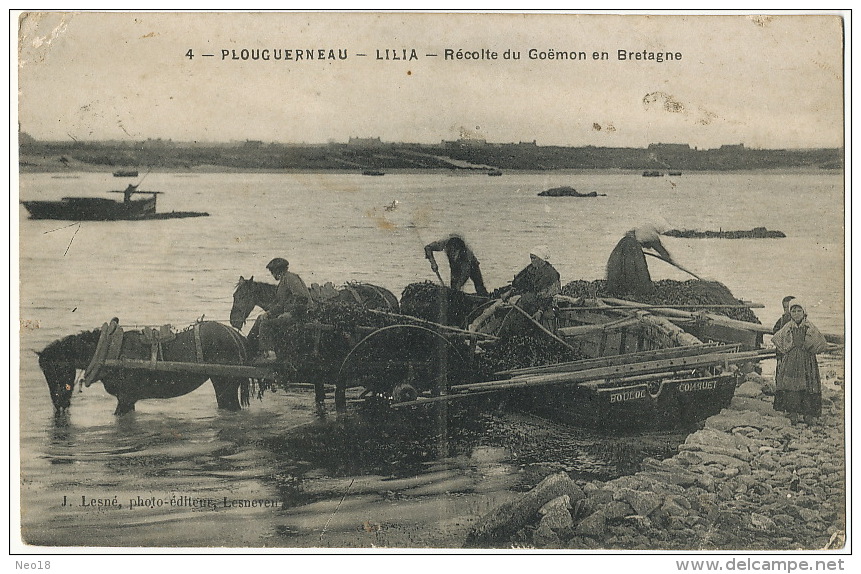 4 Plouguernau Lilia Recolte Du Goemon Edit J. Lesné Lesneven Bateau Bouloc Conquet Taxée Au Meslé Sur Sarthe - Plouguerneau