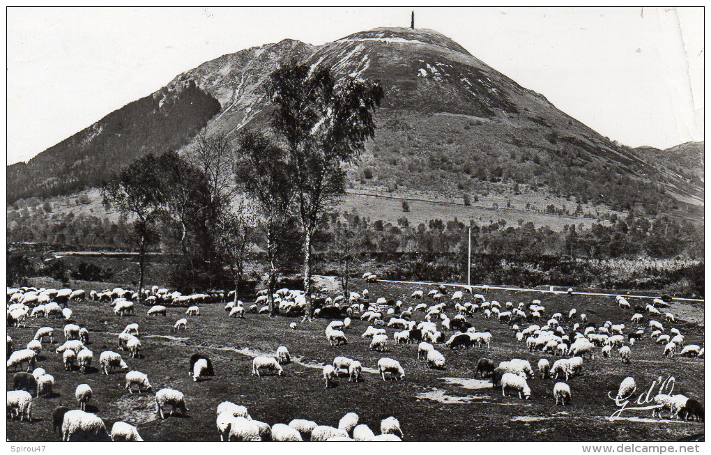 CPSM L'AUVERGNE - PATURAGES AU PIED DU PUY DE DOME - Autres & Non Classés