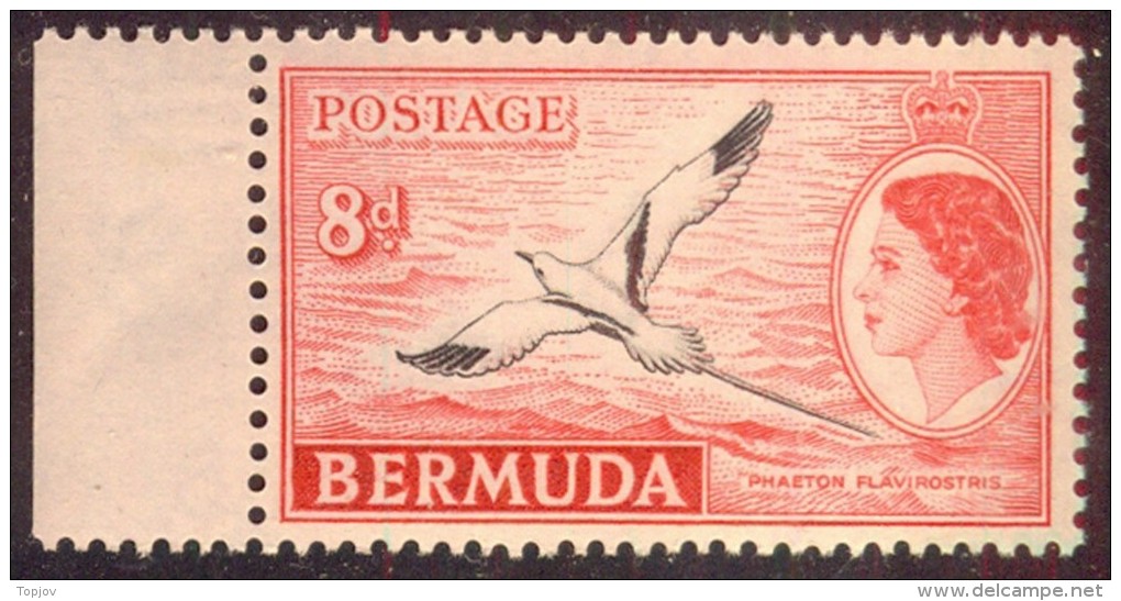 BERMUDA - TROPIC  BIRDS - LILY - **MNH - 1955 - Marine Web-footed Birds