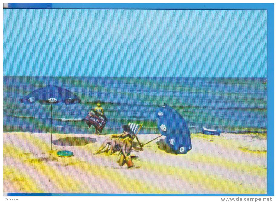 BLACK SEA BEACH  ROMANIA POSTCARD USED - Romania