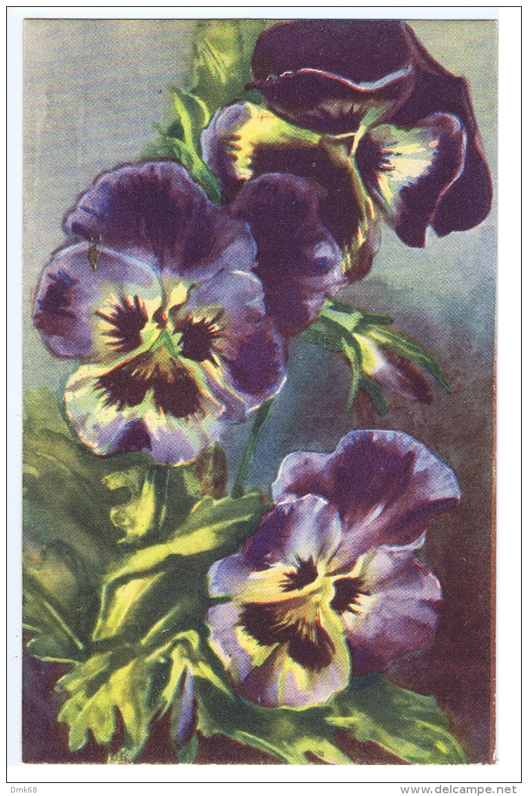 CHIOSTRI  - EDIT BALLERINI &amp; FRATINI 1930s/40s - FLOWER - PANSY - N.9017 ( A ) - Chiostri, Carlo