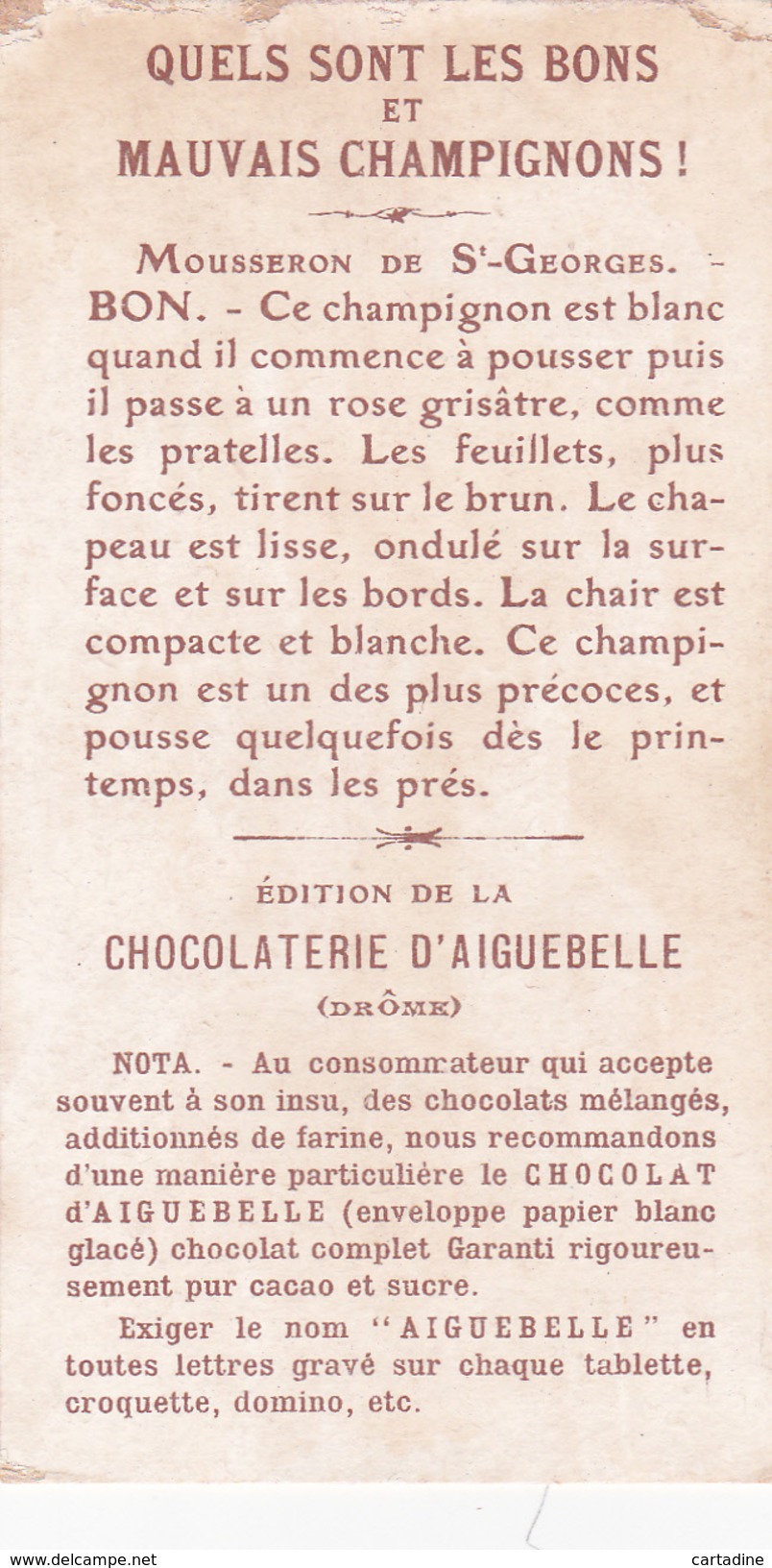 MOUSSERON DE ST. GEORGES : BON CHAMPIGNON  -  CHOCOLATERIE D'AIGUEBELLE - Aiguebelle