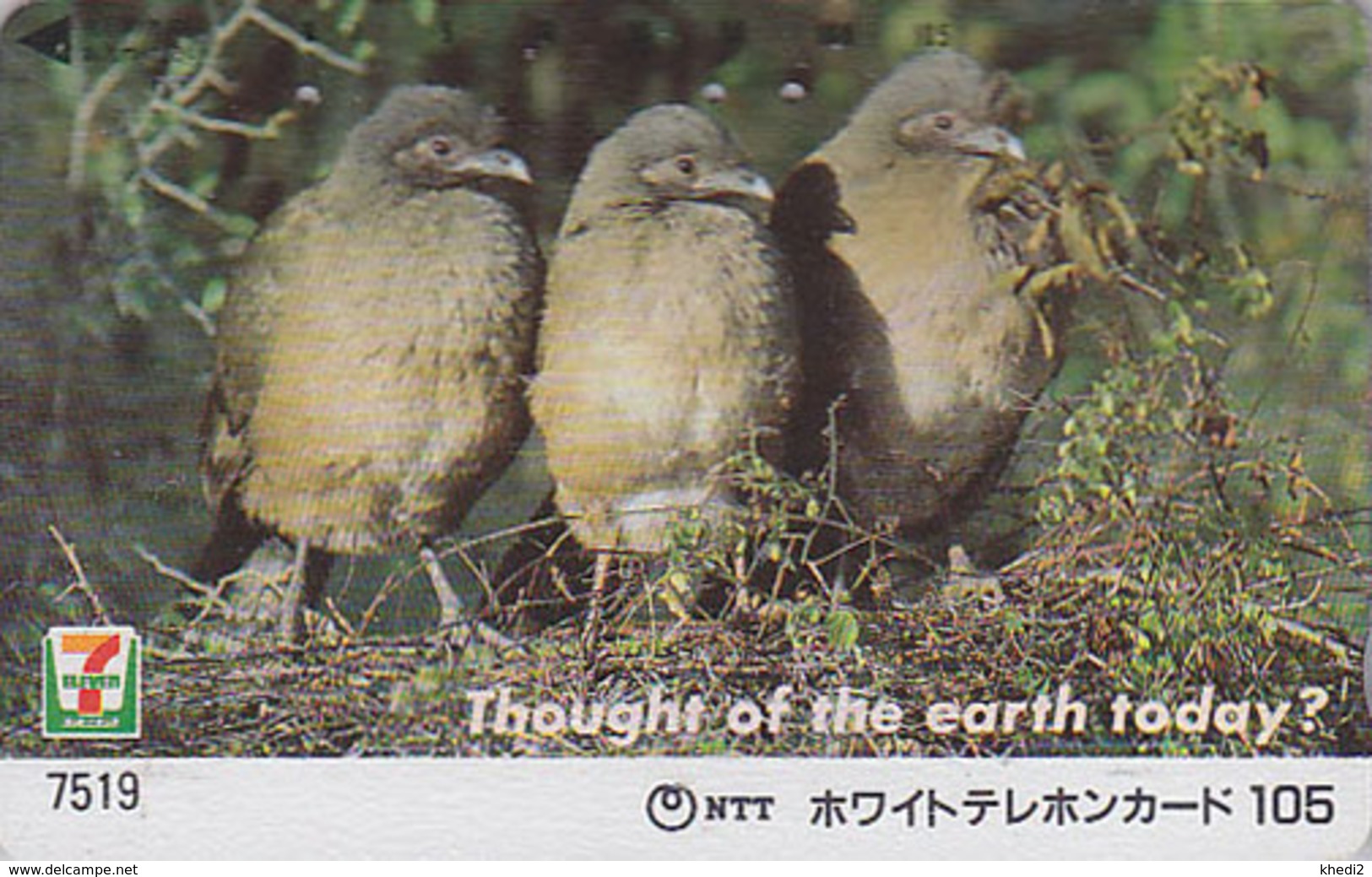 Télécarte JAPON / SERIE 7/11 - 7519 TBE - THOUGHT OF THE EARTH TODAY - ANIMAL - OISEAU - BIRD JAPAN Phonecard - Vogel BE - Pájaros Cantores (Passeri)