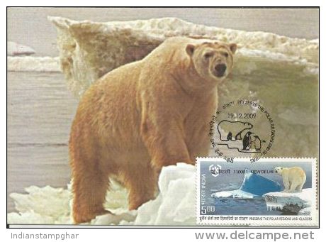 India 2009 ,Bear, Preserve The Polar Regions And Glaciers, Maximum Card - Behoud Van De Poolgebieden En Gletsjers