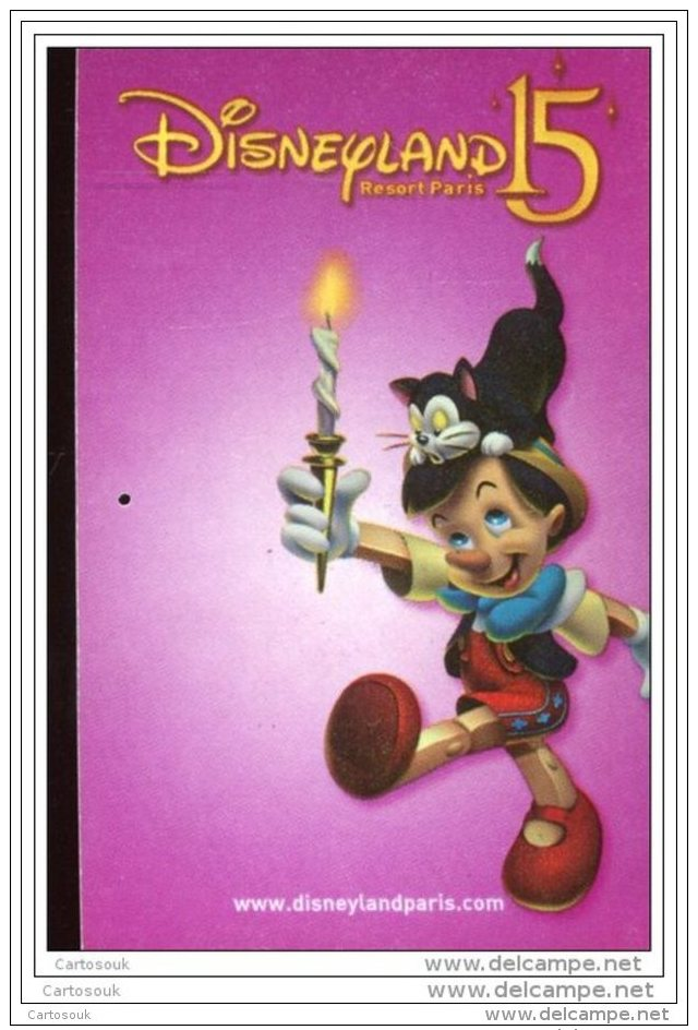 DD1088   PASS DISNEY A VOIR - Disney Passports