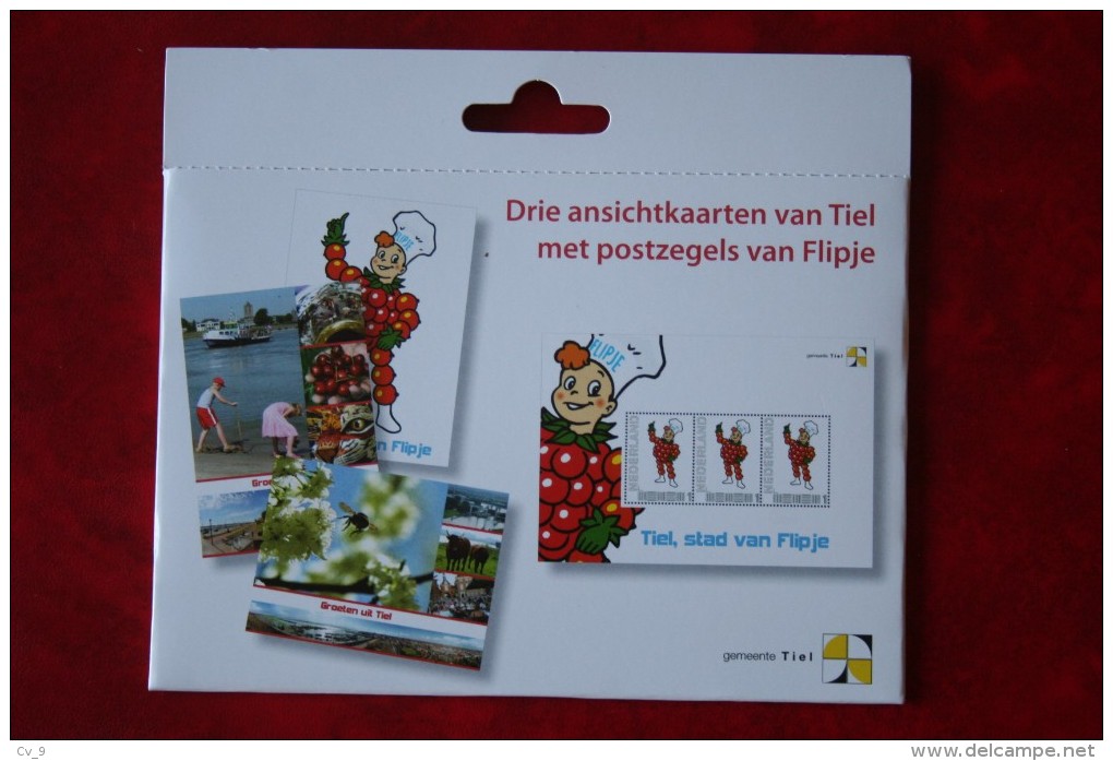 POSTBOX 10 NVPH 2751-D-1 TIEL STAD VAN FLIPJE 2010 POSTFRIS MNH ** NEDERLAND NIEDERLANDE / NETHERLANDS - Timbres Personnalisés