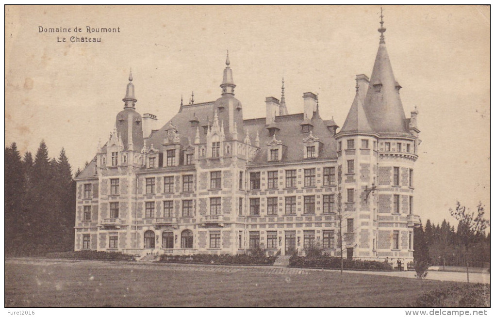 CHATEAU DE ROUMONT  Carte - Libramont-Chevigny