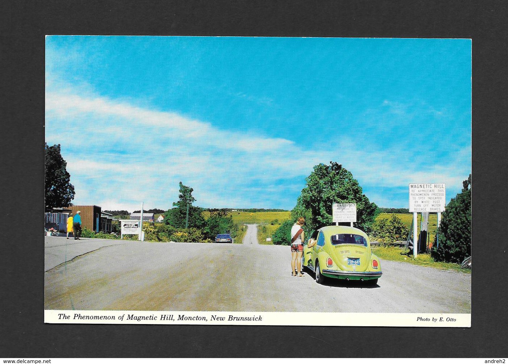 MONCTON - NEW BRUNSWICK - FAMOUS MAGNETIC HILL - DEFYING THE LAW OF GRAVITY - BELLE VOITURE VOLKSWAGEN - BY ST JOHN NEWS - Autres & Non Classés