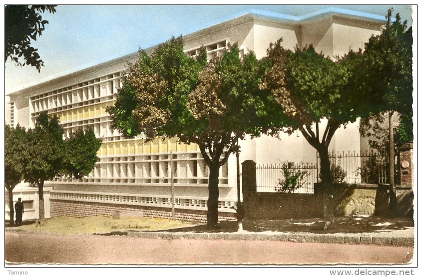 Guelma. Ecole De Garçons. Avenue De La Gare. - Guelma