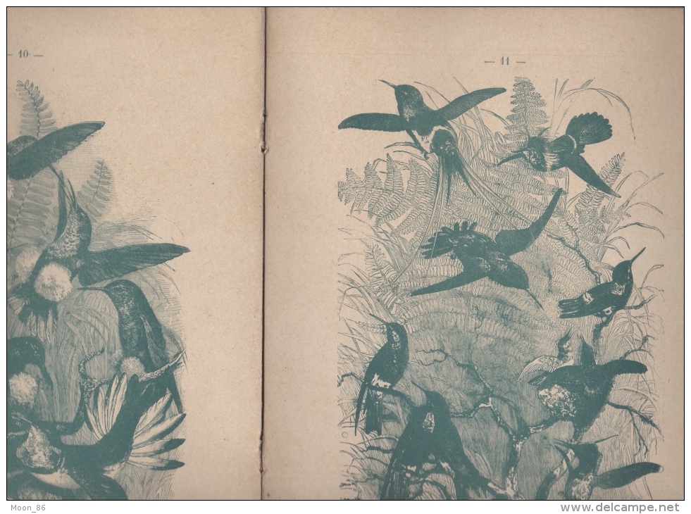 ALBUM DES OISEAUX PAR J. GAUVIN - COLLECTION LECENE @ OUDIN - 1801-1900