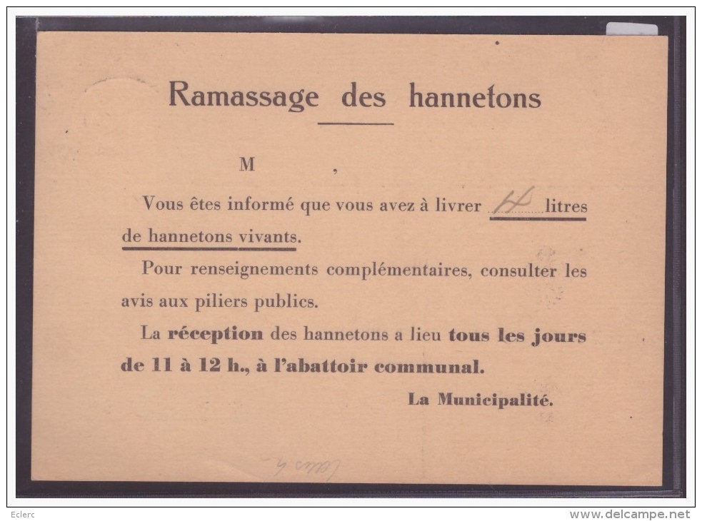 FORMAT 10x15 Cm - DISTRICT DE LAUSANNE - MUNICIPALITE DE CRISSIER - TB - Crissier