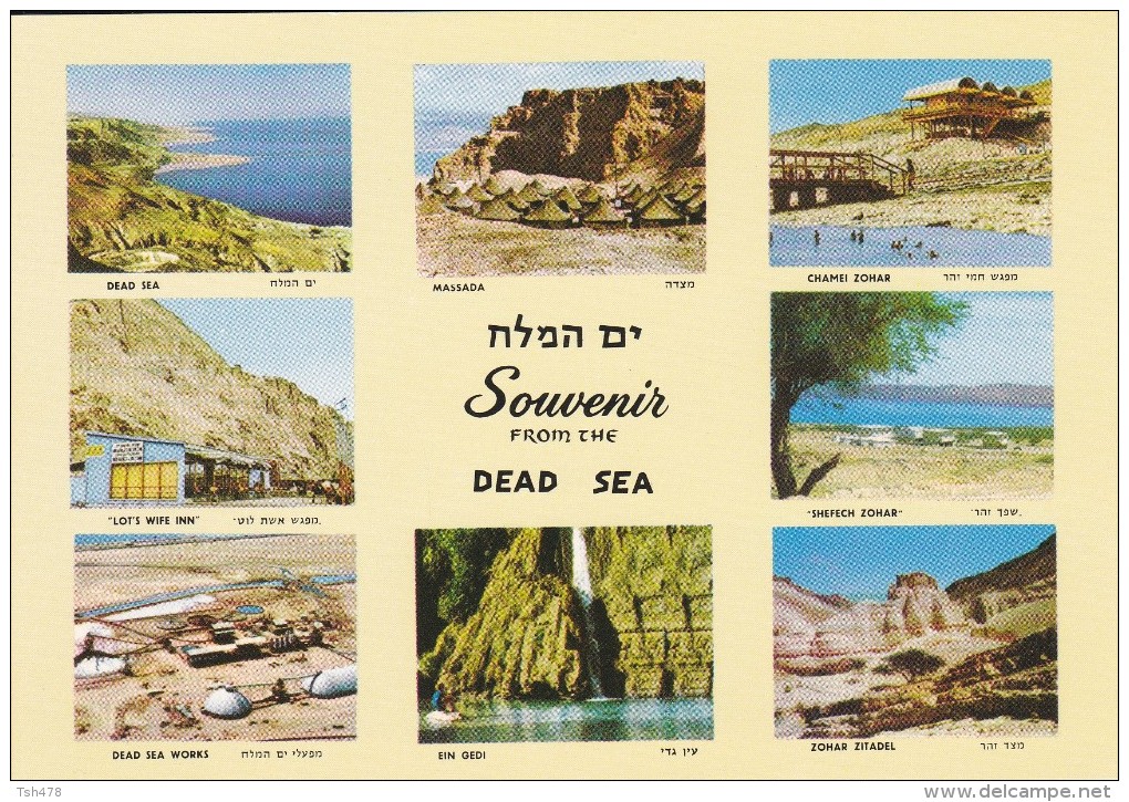 ISRAEL----SOUVENIR From The DEAD SEA--voir  2 Scans - Israel