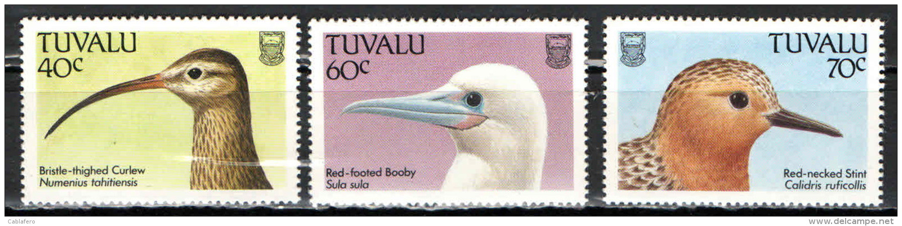 TUVALU - 1988 - UCCELLI - BIRDS - NUOVI MNH - Tuvalu